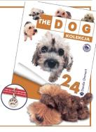 Opakowanie Terier Dandie Dinmont