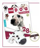 Opakowanie Dalmatyńczyk