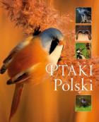 Ptaki Polski. Autor: Matoga Karolina. ZdrowePodejscie.pl Okładka książki Ptaki Polski