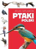 Okładka książki Atlas gatunków. Ptaki Polski