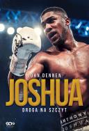 Joshua. Droga na szczyt. Autor: John Dennen, Bartosz Sałbut. ZdrowePodejscie.pl Okładka książki Joshua. Droga na szczyt