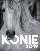 Opakowanie Kalendarz zdzierak Artsezon KALENDARZ