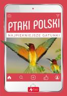 Ptaki Polski. Autor: Przybyłowicz Anna, Przybyłowicz Łukasz. ZdrowePodejscie.pl Okładka książki Ptaki Polski