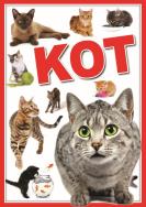 Okładka książki Koty