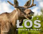 Łoś - urodziwy brzydal. Autor: Wojciech Misiukiewicz. ZdrowePodejscie.pl Okładka książki Łoś - urodziwy brzydal