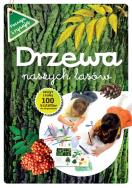 Okładka książki Drzewa naszych lasów zeszyt z kalką