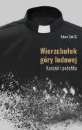 Wierzchołek góry lodowej. Autor: Żak Adam. ZdrowePodejscie.pl Okładka książki Wierzchołek góry lodowej