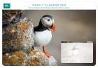 Opakowanie Planer tygodniowy Puffin
