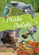 Ptaki Polski TW FENIX. Autor: Opracowanie zbiorowe. ZdrowePodejscie.pl Okładka książki Ptaki Polski TW FENIX