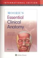 Moore's Essential Clinical Anatomy Sixth edition, International Edition. Autor: Agur Anne M.R., Dalley Arthur F.. ZdrowePodejscie.pl Okładka książki Moore's Essential Clinical Anatomy Sixth edition, International Edition