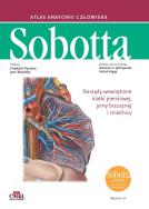 Atlas anatomii człowieka Sobotta Łacińskie mianownictwo. Tom 2. Autor: Paulsen F., Waschke J.. ZdrowePodejscie.pl Okładka książki Atlas anatomii człowieka Sobotta Łacińskie mianownictwo. Tom 2