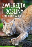 ZWIERZĘTA I ROŚLINY CHRONIONE W POLSCE. Autor: Opracowanie zbiorowe. ZdrowePodejscie.pl Okładka książki ZWIERZĘTA I ROŚLINY CHRONIONE W POLSCE
