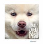 ZOBACZ Z BLISKA KOLOR OCZU I PYSKA. Autor: Jacobson Kasia. ZdrowePodejscie.pl Okładka książki ZOBACZ Z BLISKA KOLOR OCZU I PYSKA