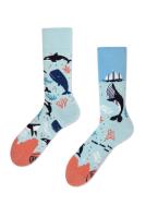 Zdjęcie produktu Many Mornings Skarpetki długie Ocean Life