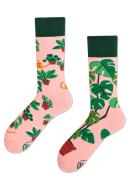 Zdjęcie produktu Many Mornings Skarpetki długie Plant Lover