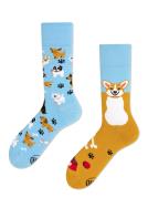 Zdjęcie produktu Many Mornings Skarpetki długie Playful Dog