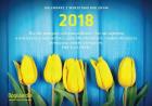 Kalendarz z wersetami biblijnymi BOGULANDIA 2018. Wydawca: Bogulandia. ZdrowePodejscie.pl Opakowanie Kalendarz z wersetami biblijnymi BOGULANDIA 2018