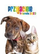 Opakowanie Kalendarz 2023 Ścienny spirala Przyjaciele AVANTI