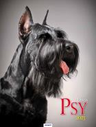 Opakowanie Kalendarz 2023 Ścienny spirala Psy AVANTI