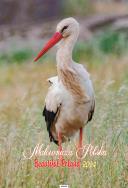 Opakowanie Kalendarz 2024 Ścienny Malownicza Polska