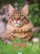 Opakowanie Kalendarz 2024 Ścieny Koty