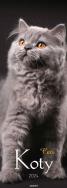 Opakowanie Kalendarz 2024 Ścieny Koty