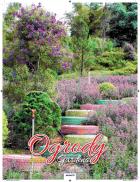 Opakowanie Kalendarz 2024 Ścieny Ogrody