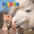 Okładka książki Kalendarz 2024 Ścieny Przyjaciele