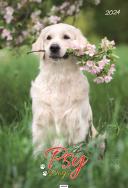 Opakowanie Kalendarz 2024 Ścieny Psy