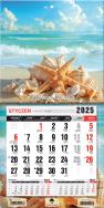 Okładka książki Kalendarz 2025 jednodzielny mini z mag. Muszelki