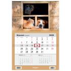 Opakowanie Kalendarz 2025 Jednodzielny Psy i kociak