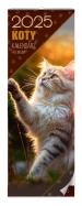 Opakowanie Kalendarz 2025 Koty premium ścienny