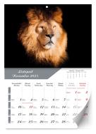 Opakowanie Kalendarz 2025 ścienny Lux Zwierzęta