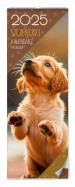 Opakowanie Kalendarz 2025 Szczeniaki premium ścienny