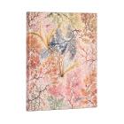 Opakowanie Kalendarz Paperblanks 2023 Anemone Flexi Ultra Tygodniowy VER