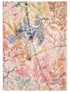 Opakowanie Kalendarz Paperblanks 2023 Anemone Midi Tygodniowy