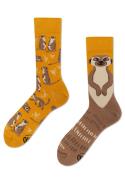 Zdjęcie produktu Many Mornings Skarpetki długie The Meerkat 43/46
