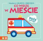 Okładka książki Nauka z grubym obrysem. Co widzę w mieście