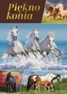 Piękno konia. Autor: Opracowanie zbiorowe. ZdrowePodejscie.pl Okładka książki Piękno konia