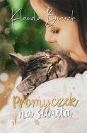 Promyczek na święta - uszkodzone. Autor: Bianek Klaudia. ZdrowePodejscie.pl Okładka książki Promyczek na święta - uszkodzone