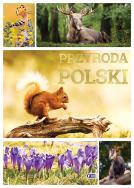Przyroda Polski. Autor: Opracowanie zbiorowe. ZdrowePodejscie.pl Okładka książki Przyroda Polski