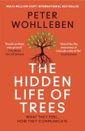 The Hidden Life of Trees. Autor: Wohlleben Peter. ZdrowePodejscie.pl Okładka książki The Hidden Life of Trees