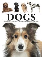 Dogs wer. angielska. Autor: Jackson Tom. ZdrowePodejscie.pl Okładka książki Dogs wer. angielska