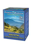 Zdjęcie produktu Everest Ayurveda Herbatka SHUNTHI 100g - Żołądek i jelita