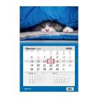 Opakowanie Kalendarz 2026 jednodzielny Kot HELMA