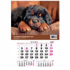 Opakowanie Kalendarz 2026 jednodzielny Pies