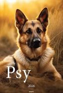 Opakowanie Kalendarz 2026 ścienny A3 Psy