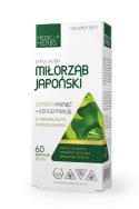 Medica Herbs Miłorząb japoński 60kaps. Producent: Medica Herbs. ZdrowePodejscie.pl Zdjęcie produktu Medica Herbs Miłorząb japoński 60kaps