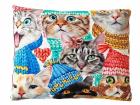 Opakowanie Poduszka Koty