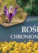 Rośliny chronione w Polsce - uszkodzone. Autor:   Praca zbiorowa. ZdrowePodejscie.pl Okładka książki Rośliny chronione w Polsce - uszkodzone